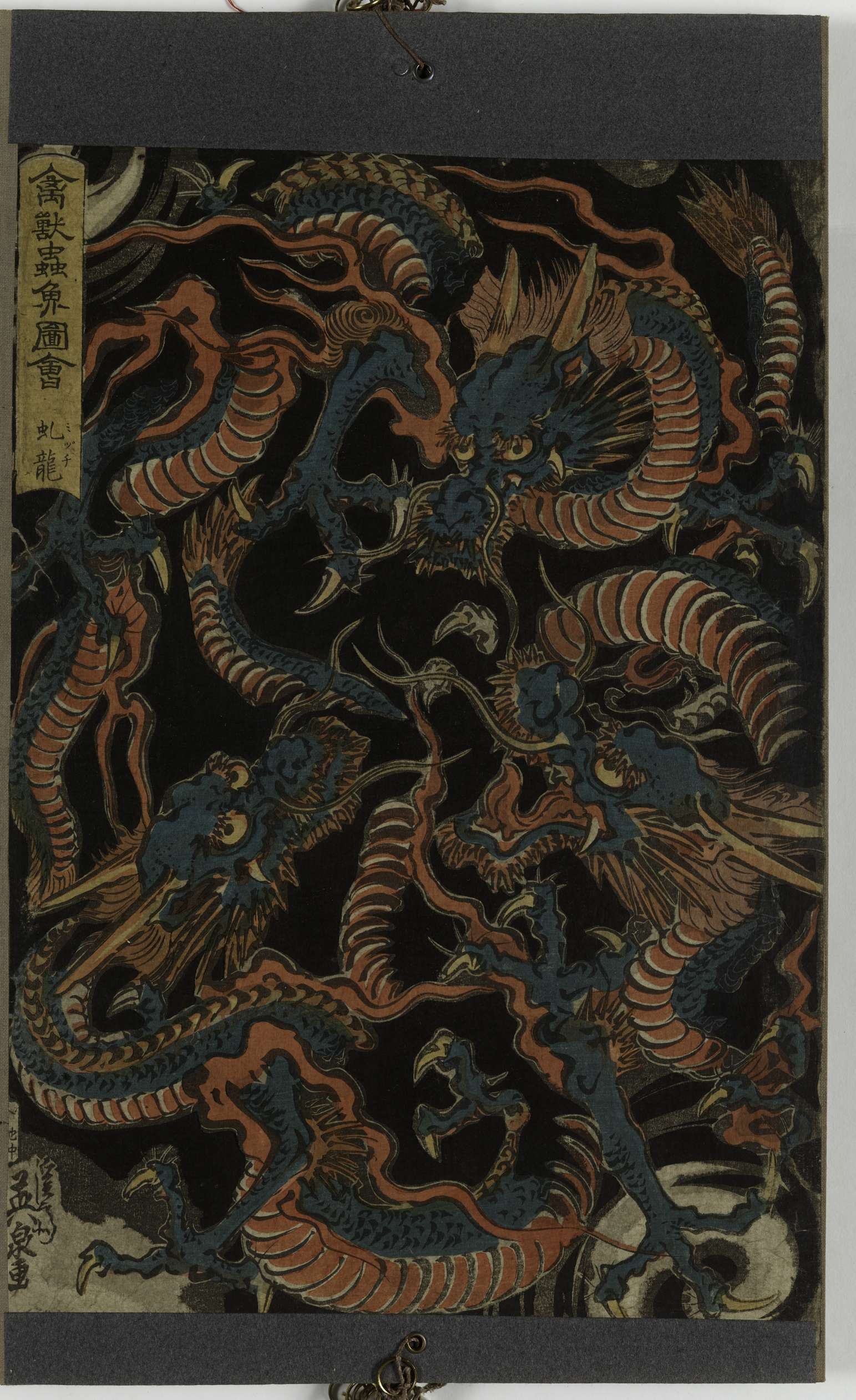 Illustrations de la faune. Dragon Mizuchi