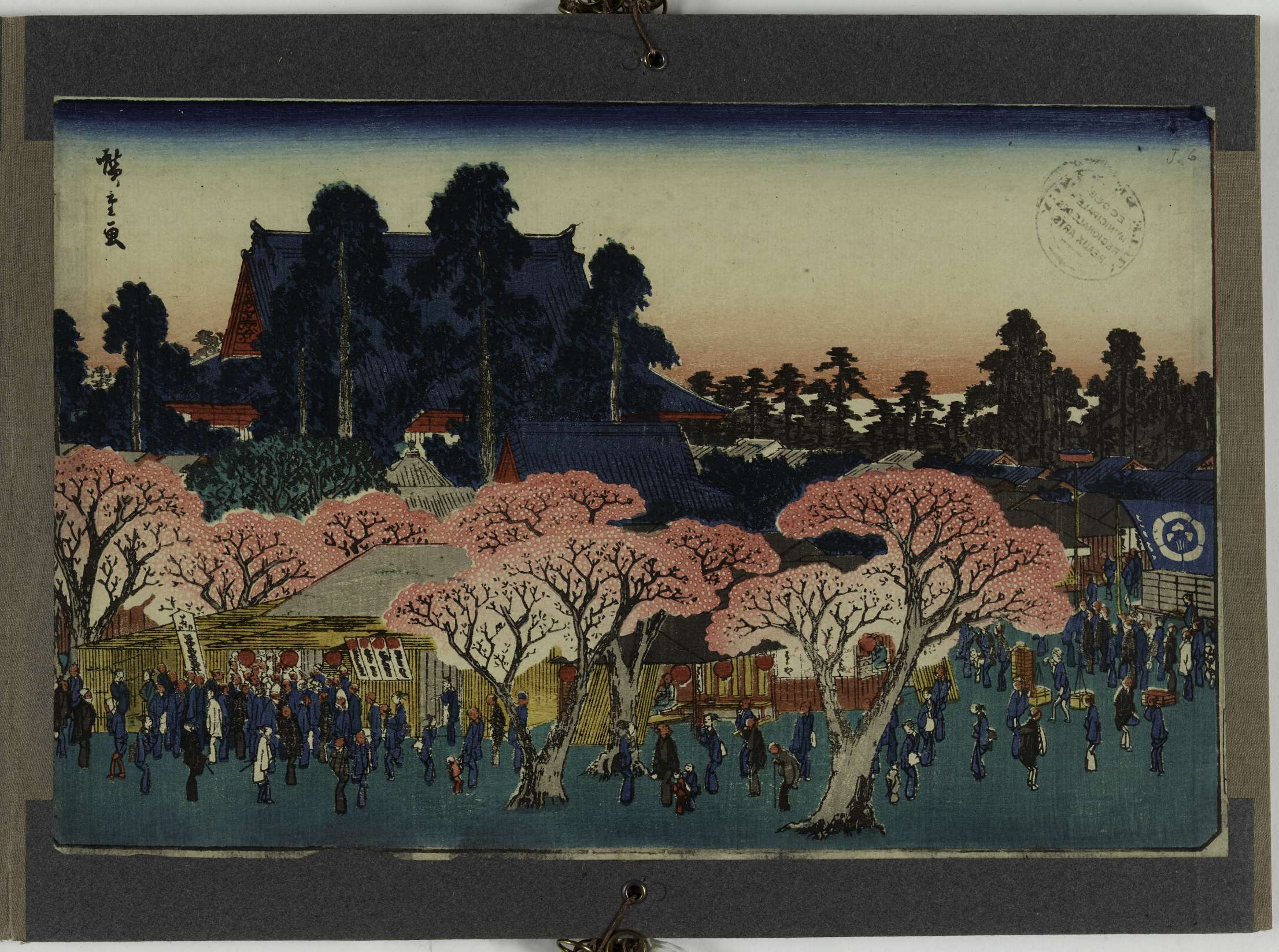 (Fleurs de cerisier au temple d'Asakusa)